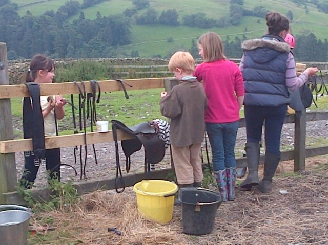 The pony club
